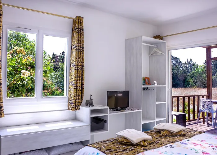 Domaine Des Lucques With Private Infinity Pool & Grand Olive Grove Bed & Breakfast Bize-Minervois